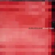Sometree - Auburnlane / Sometree