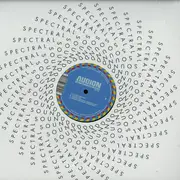 12inch Vinyl Single - Audion - Sky / Motormouth Remixes