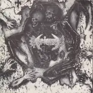 Audiorrea / Agathocles - Audiorrea / Agathocles