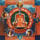CD - Audio Active And Laraaji - The Way Out Is The Way In