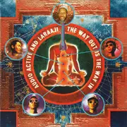 CD - Audio Active And Laraaji - The Way Out Is The Way In