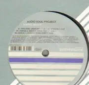 12'' - Audio Soul Project - Taking Shape