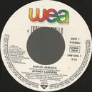 7inch Vinyl Single - Audrey Landers - Sun Of Jamaica (Lambada Mix '90)