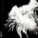 CD - Aufgehoben - Messidor