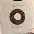 7inch Vinyl Single - Aurelia - King Kong Blues