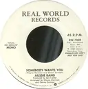 7inch Vinyl Single - Aussie Band - Somebody Wants You