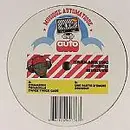 12inch Vinyl Single - Auto - Winter Spring Collection