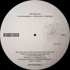 12inch Vinyl Single - Autochtones - Everlasting Roots