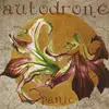 CD - Autodrone - Panic