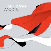 Automat - Modul