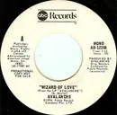 7inch Vinyl Single - Avalanche - Wizard Of Love