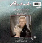 7inch Vinyl Single - Avalanche - Riding On A Storm
