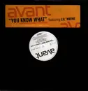 12inch Vinyl Single - Avant, Lil Wayne - You Know What