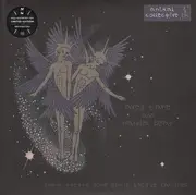 Double LP - Animal Collective - Spirit They'Re Gone,Spirit They'Ve Vanished - DMM ltd.