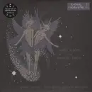 Double LP - Animal Collective - Spirit They'Re Gone,Spirit They'Ve Vanished - DMM ltd.