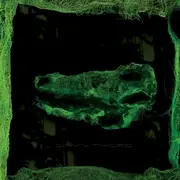 CD - Avey Tare - Down There