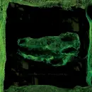 CD - Avey Tare - Down There