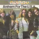 7inch Vinyl Single - Aviary - Anthem For The U.S.A. - PROMO
