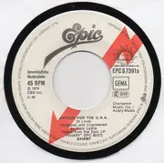 7inch Vinyl Single - Aviary - Anthem For The U.S.A. - PROMO