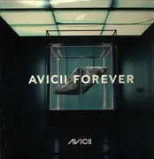 Double LP - Avicii - Forever