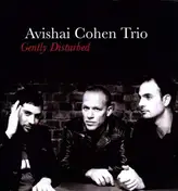 Avishai Cohen - Gently Disturbed