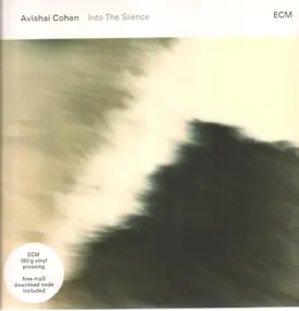 Avishai Cohen - Into The Silence