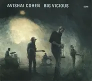 Avishai E. Cohen - Big Vicious