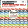 12'' - Axwell & Bob Sinclar Feat. Ron Carroll - What A Wonderful World