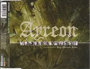 Ayreon - Day Eleven: Love