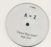 A to Z - How You Livin / The Birth