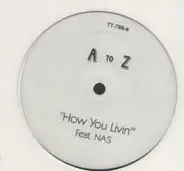 A To Z - How You Livin / The Birth