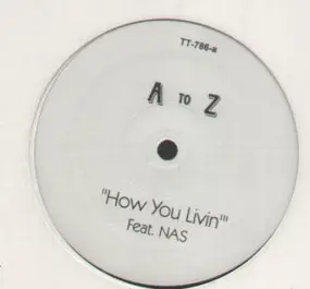 A to Z - How You Livin / The Birth