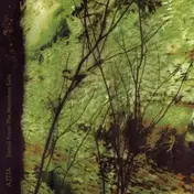 Azita - Detail From The Mountain Side (Songs From The Musical By Brian Torrey Scott)