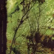 CD - Azita - Detail From The Mountain Side (Songs From The Musical By Brian Torrey Scott)