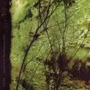 CD - Azita - Detail From The Mountain Side (Songs From The Musical By Brian Torrey Scott)