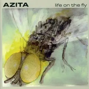 Azita - Life on the Fly
