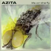 Azita - Life on the Fly
