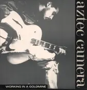 Aztec Camera - Working In A Goldmine