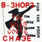 CD - B-Shops For The Poor - The Wild Goose Chase