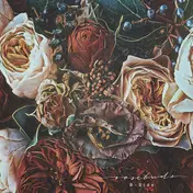 B-Side - Rosebuds