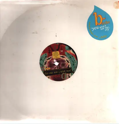 B-Tribe - You Won't See Me Cry (Remixes)
