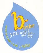 12'' - B-Tribe - You Won't See Me Cry