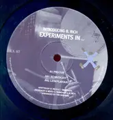 B. Rich - Experiments In...