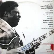 Double LP - B.B. King - B.B. King 'Now Appearing' At Ole Miss