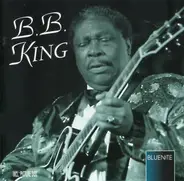 B.B. King - Blues You Can Use