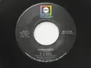 7inch Vinyl Single - B.B. King - Hummingbird