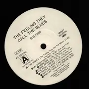 LP - B.B. King - The Feeling They Call The Blues - The Time Of B.B.King - Vol.1 - Promo, Mono, Insert