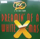 12inch Vinyl Single - B.C. & The Basic Boom - Dreamin' Of A White Christmas