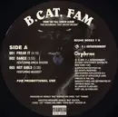 12inch Vinyl Single - B.Cat.Fam - Freak It