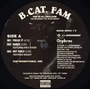 B.Cat.Fam - Freak It